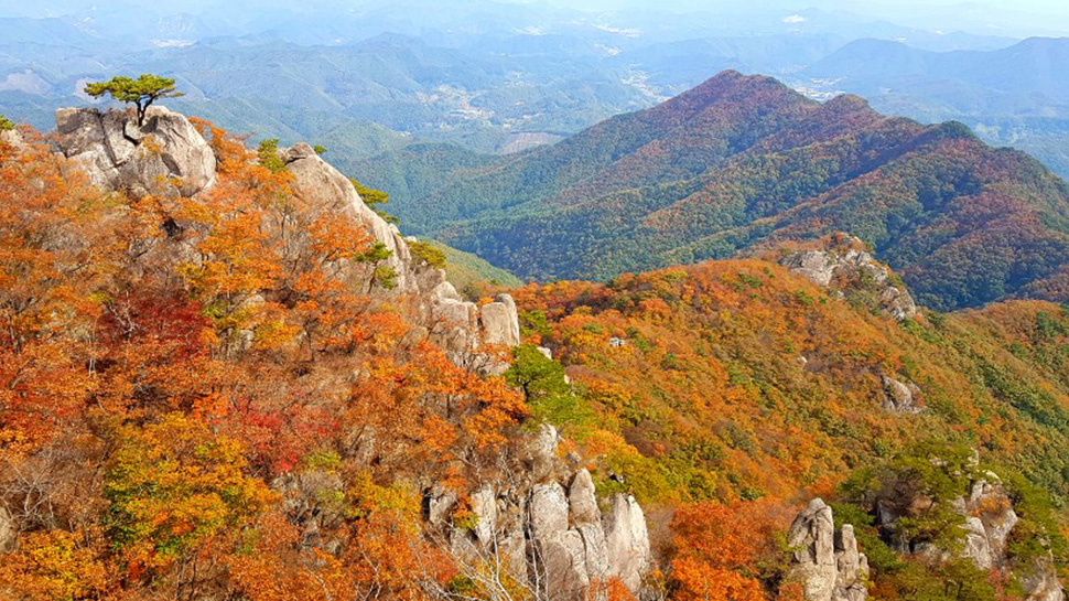 대둔산(가을)