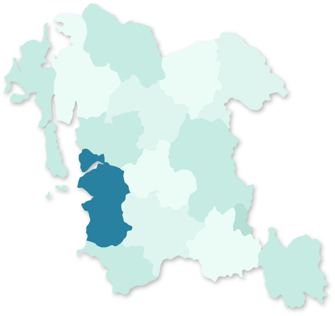 충청남도 보령 지역 활성화 지도