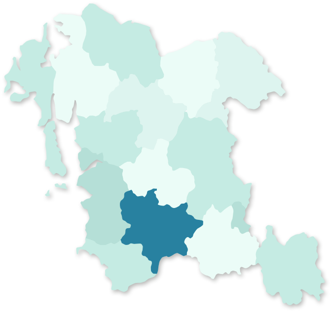 충청남도 부여 지역 활성화 지도