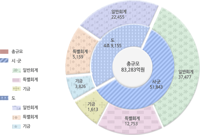 2006년도 재정규모